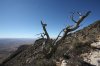 Guadalupe Mountains_Davis Mountains Trip ST_owners 2_09 769 (Medium).jpg