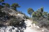 Guadalupe Mountains_Davis Mountains Trip ST_owners 2_09 781 (Medium).jpg