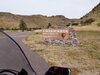 Wilcox, AZ; Chiricahua Nat. Monument (Park).jpg