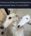 Dave2.jpg