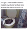 duck.png