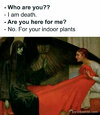 Plants.jpg