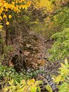 Babbling brook_20-10-24.jpg