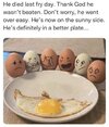 Eggs.jpg