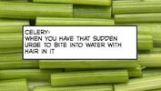 Celery.jpg