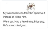 spider.png