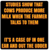 udder.png