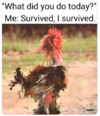 survive.png