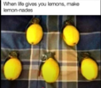 lemons.png