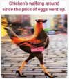 eggs.png