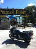 pellocan point.jpg